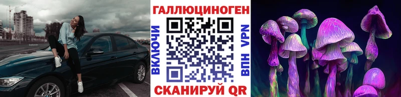 Галлюциногенные грибы Psilocybe  наркошоп  Ставрополь 