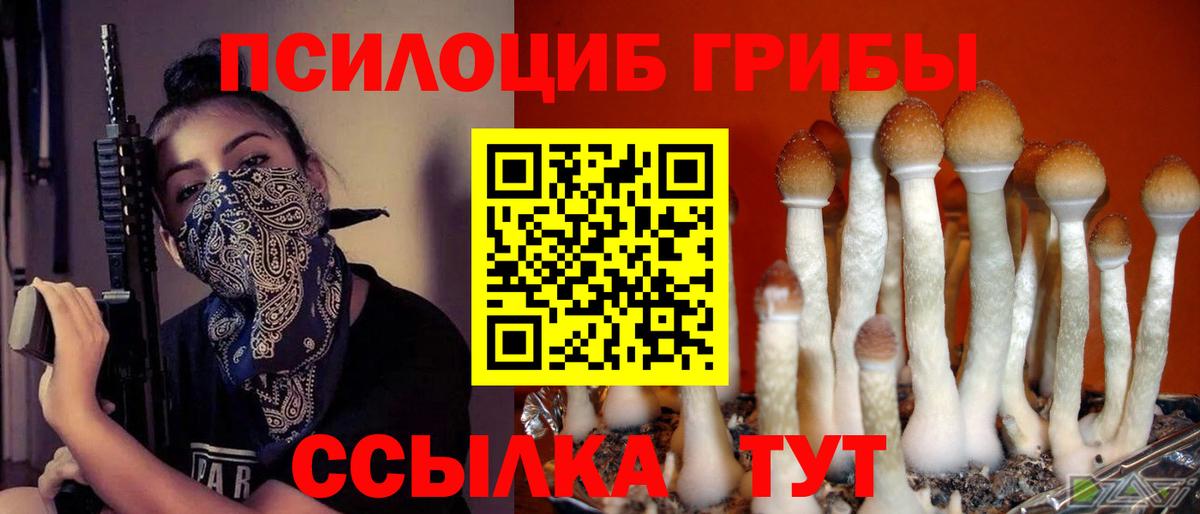 Псилоцибиновые грибы прущие грибы  закладки  Псилоцибиновые грибы MAGIC MUSHROOMS  Ставрополь  Вход с VPN 