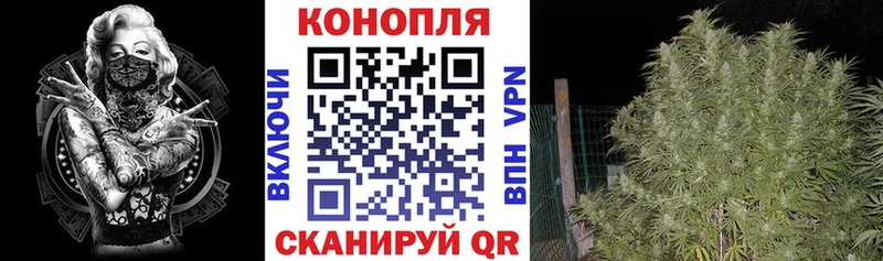 Шишки марихуана индика  гидра как зайти  Ставрополь 